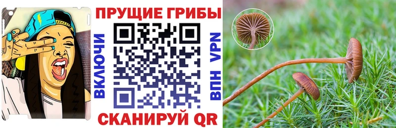 Галлюциногенные грибы GOLDEN TEACHER  Купить  Улан-Удэ 